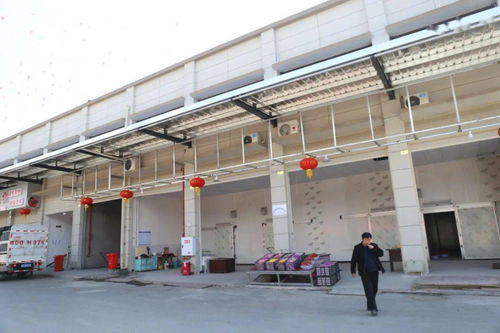 華南農(nóng)產(chǎn)品批發(fā)市場(chǎng)春節(jié)銷售創(chuàng)佳績(jī)，金屬及金屬礦批發(fā)業(yè)務(wù)亮點(diǎn)頻現(xiàn)